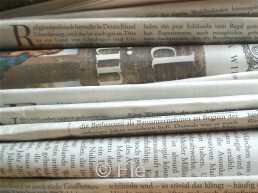 Newspapers © Fiebig