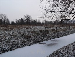 Gelände der ehemaligen Lagergärtnerei Neuengamme © Fiebig