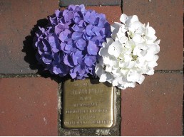 Stolperstein in Neumünster © Weldemann 